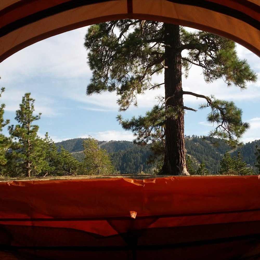 Table Mountain Campground - View from within our tent, pitched @ site #40 - Campgrounds Near Me - Llano, California Table Mountain Campground - View from within our tent, pitched @ site #40 - Campgrounds Near Me - Llano, California