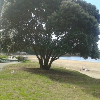 Browns Bay beach - Beaches Near Me - Auckland, AUK