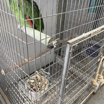 Birds Plus - Bird Shops Near Me - Valley Glen, California