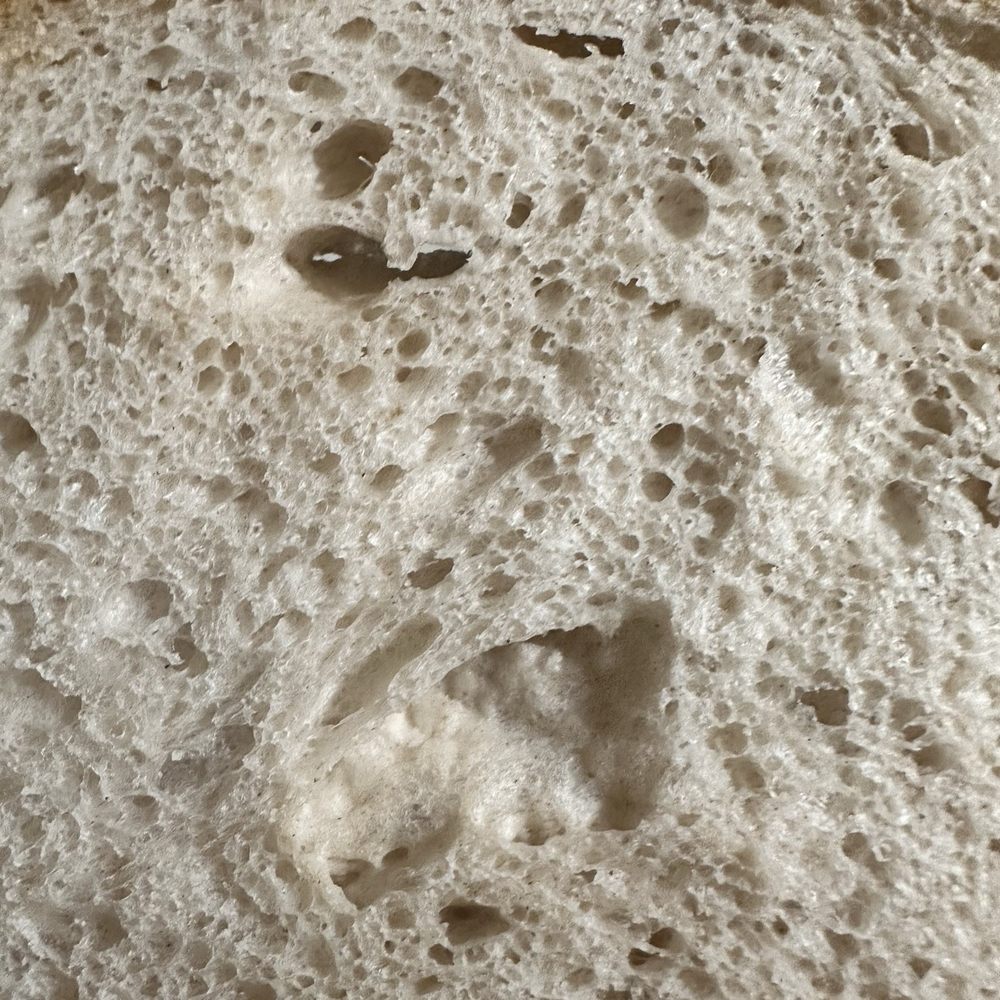 Artisan Bread Gallery - sourdough bread, country sourdough, they have two types, I think maybe more - Bakeries Near Me - Houston, Texas Artisan Bread Gallery - sourdough bread, country sourdough, they have two types, I think maybe more - Bakeries Near Me - Houston, Texas