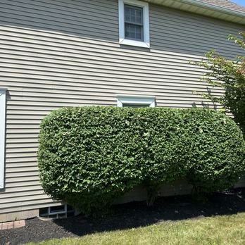 KV Landscaping - Lawn Services Near Me KV Landscaping - Lawn Services Near Me