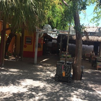 Pizza Tropical - Cute place in the shade and fans running to keep cool. - Pizza Near Me - Miami, Florida Pizza Tropical - Cute place in the shade and fans running to keep cool. - Pizza Near Me - Miami, Florida