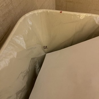 Quality Inn Exit 4 - Dirty trash can under liner - Hotels Near Me - Clarksville, Tennessee Quality Inn Exit 4 - Dirty trash can under liner - Hotels Near Me - Clarksville, Tennessee