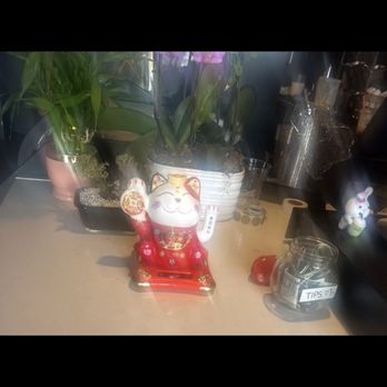 Jade & Java Cafe - I be seeing this feline cat in the cuts in SF waving at the camera on my social media feed - Coffee & Tea Near Me - San Francisco, California