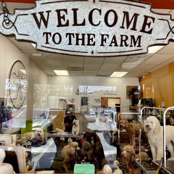 Doggie Dos  - Pet Groomers Near Me - La Mesa, California
