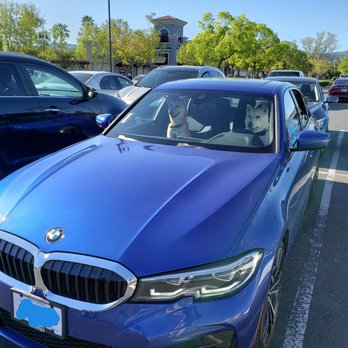 SMG Auto Brokers - Van Nuys - New car is doggo approved! - Car Brokers Near Me - Los Angeles, California SMG Auto Brokers - Van Nuys - New car is doggo approved! - Car Brokers Near Me - Los Angeles, California