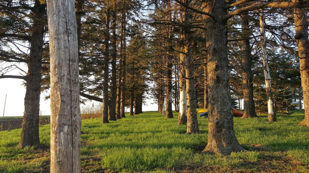 Slide of Hillcrest Farm Handyman Services
