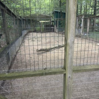 Claws 'N' Paws Animal Park - Every cage looks like this. Some have dents where animals are pressing their heads into it from their stress. - Zoos Near Me - Hamlin, Pennsylvania Claws 'N' Paws Animal Park - Every cage looks like this. Some have dents where animals are pressing their heads into it from their stress. - Zoos Near Me - Hamlin, Pennsylvania