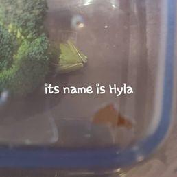 I was sending to my friends but u can clearly see a frog there... I was sending to my friends but u can clearly see a frog there...