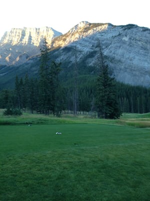Fairmont Banff Springs Golf Course by null