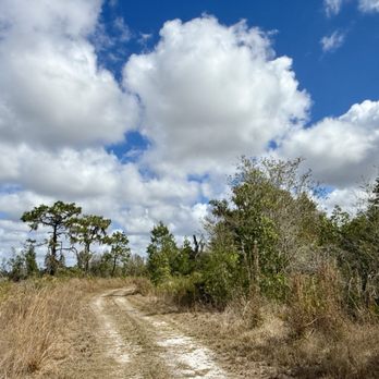 Little Manatee River Southfork Tract - Open sky views - Parks Near Me - Duette, Florida Little Manatee River Southfork Tract - Open sky views - Parks Near Me - Duette, Florida