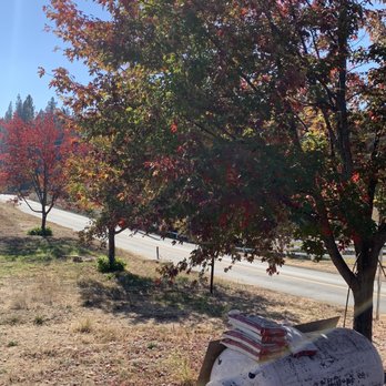 Larsen Apple Barn - Views from the back deck - Fruits & Veggies Near Me - Camino, California
