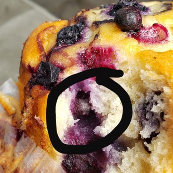 OJ's Donuts House - A moldy blueberry is circled. - Donuts Near Me - Big Bear Lake, California