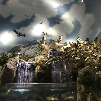 Bass Pro Shops - 11/14/21 Interior display - Guns & Ammo Near Me - Rocklin, California