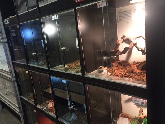 paraiso pets & supplies