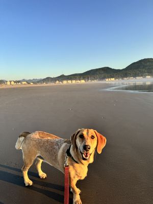 Sandy Cove Inn and Red Door Vacation Rentals by null