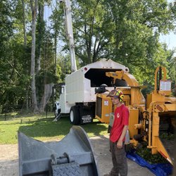 Sasquatch Tree Services