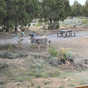 Mammoth Creek RV Resort - View from our patio Robin's Roost 'A' - Campgrounds Near Me - Hatch, Utah