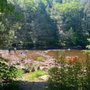 Photo of Salmon River State Forest