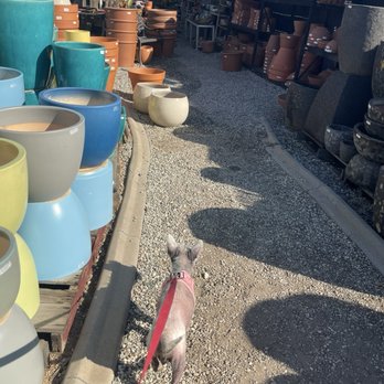 Glendora Gardens Nursery and Tree Farm - More pots! - Nurseries & Gardening Near Me - Glendora, California