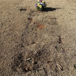 Lakeview Memory Gardens of York - Unmarked grave after one year and paid in full. Contracted with Lakeview to maintain grave and keep tidy. This has not been the case.