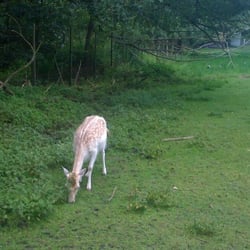 Tierpark Ofden