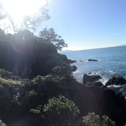 Tiritiri Matangi