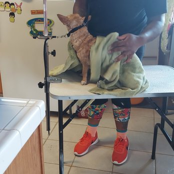 Martiiy's Divine Touch - Spa day for Chloe - Pet Groomers Near Me
