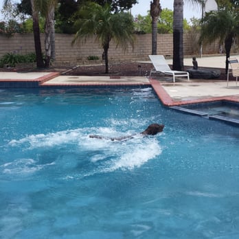 Diamante Pool Plastering - Pool Cleaners Near Me - Santa Clarita, California Diamante Pool Plastering - Pool Cleaners Near Me - Santa Clarita, California