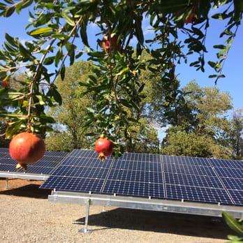 J R Construction - Sol Solutions - Three PV Solar pods creating a 12 kW system #4 - Solar Installation Near Me - Napa, California J R Construction - Sol Solutions - Three PV Solar pods creating a 12 kW system #4 - Solar Installation Near Me - Napa, California