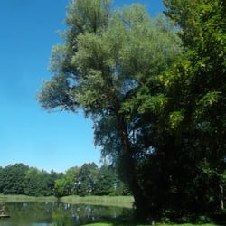 Badestelle am Schloßsee in Walkendorf - Walkendorfer Schloßsee 2014, Copyright by mostro HH