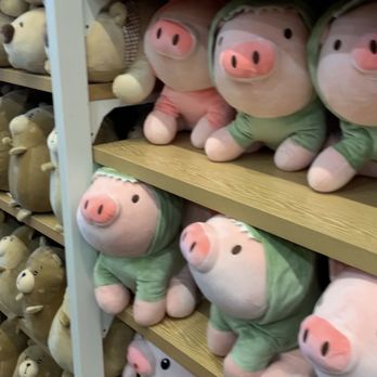 Miniso - Stuffed animals - Accessories Near Me - Sand Lake, Florida, Florida Miniso - Stuffed animals - Accessories Near Me - Sand Lake, Florida, Florida