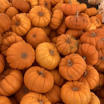 Hunter Farms Pumpkin Patch - Pumpkin Patches Near Me - Atwater, California