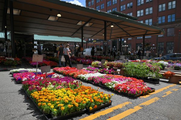 St. Paul Farmers' Market by null