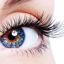 Excellence In Eye Care