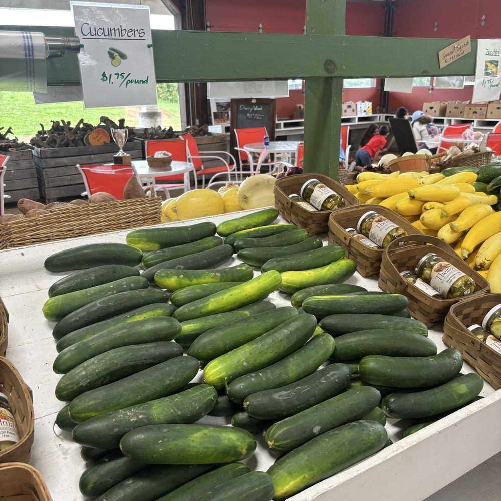 Peters Orchards - Fruits & Veggies Near Me - Gardners, Pennsylvania