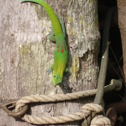 The Rainbow Plantation - Another neighbor :)