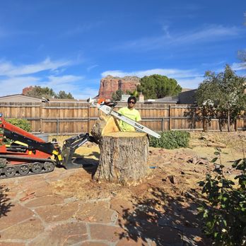 Arizona North Tree Service - Tree Services Near Me Arizona North Tree Service - Tree Services Near Me
