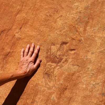 Dreamland Safari Tours by null