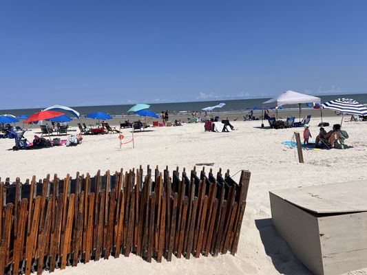 Palmetto Dunes Oceanfront Resort by null