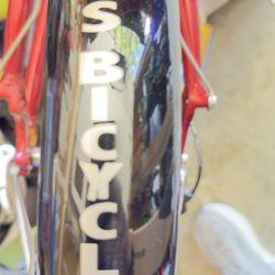 Guy's Bicycles - Keeping my ICE Trike in tip top shape for the 2026 City to Shore 150 MS Bike Ride