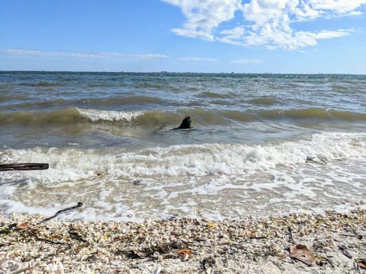 Lighthouse Beach Park by null