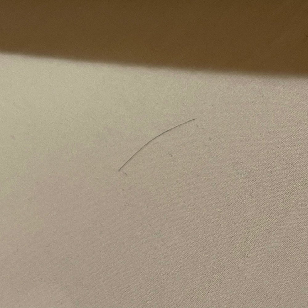 Human hair on bedsheets in the premium cottage.
