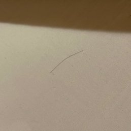 Human hair on bedsheets in the premium cottage.