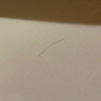 Gateway Inn - Human hair on bedsheets in the premium cottage. - Guest Houses Near Me - Ashford, Washington