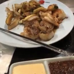 Scallops Scallops