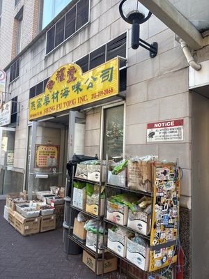 Shing Fu Tong Incorporated