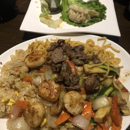 Filet mignon and scallops hibachi with steamed potstickers. Potstickers were cold!