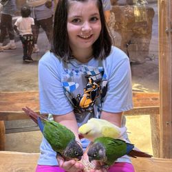 Houston Interactive Aquarium and Animal Adventure - We always love getting to feed the parakeets!