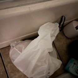 Maisel Property Management - URINE AND PISS AND FLIES